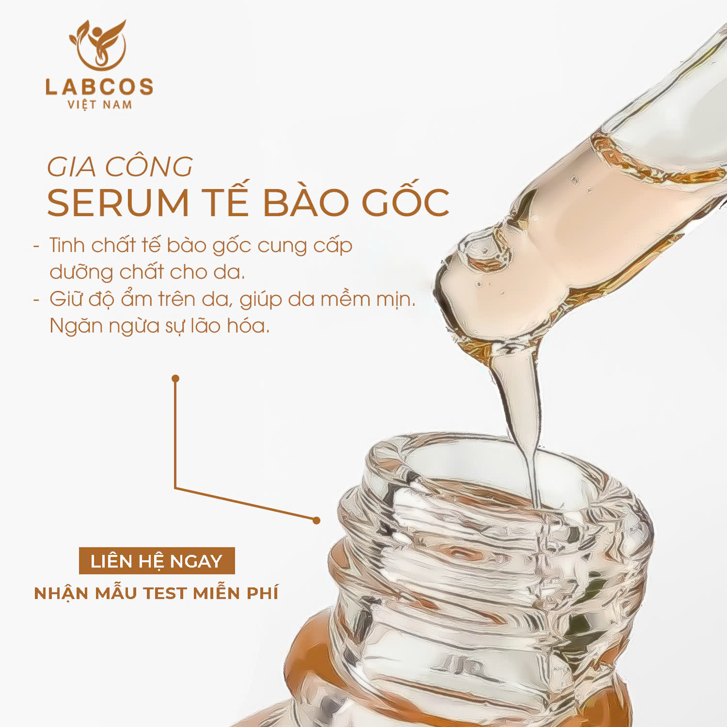 Gia Công Serum Tế Bào Gốc – Bí Quyết Tái Sinh Làn Da Trẻ Trung