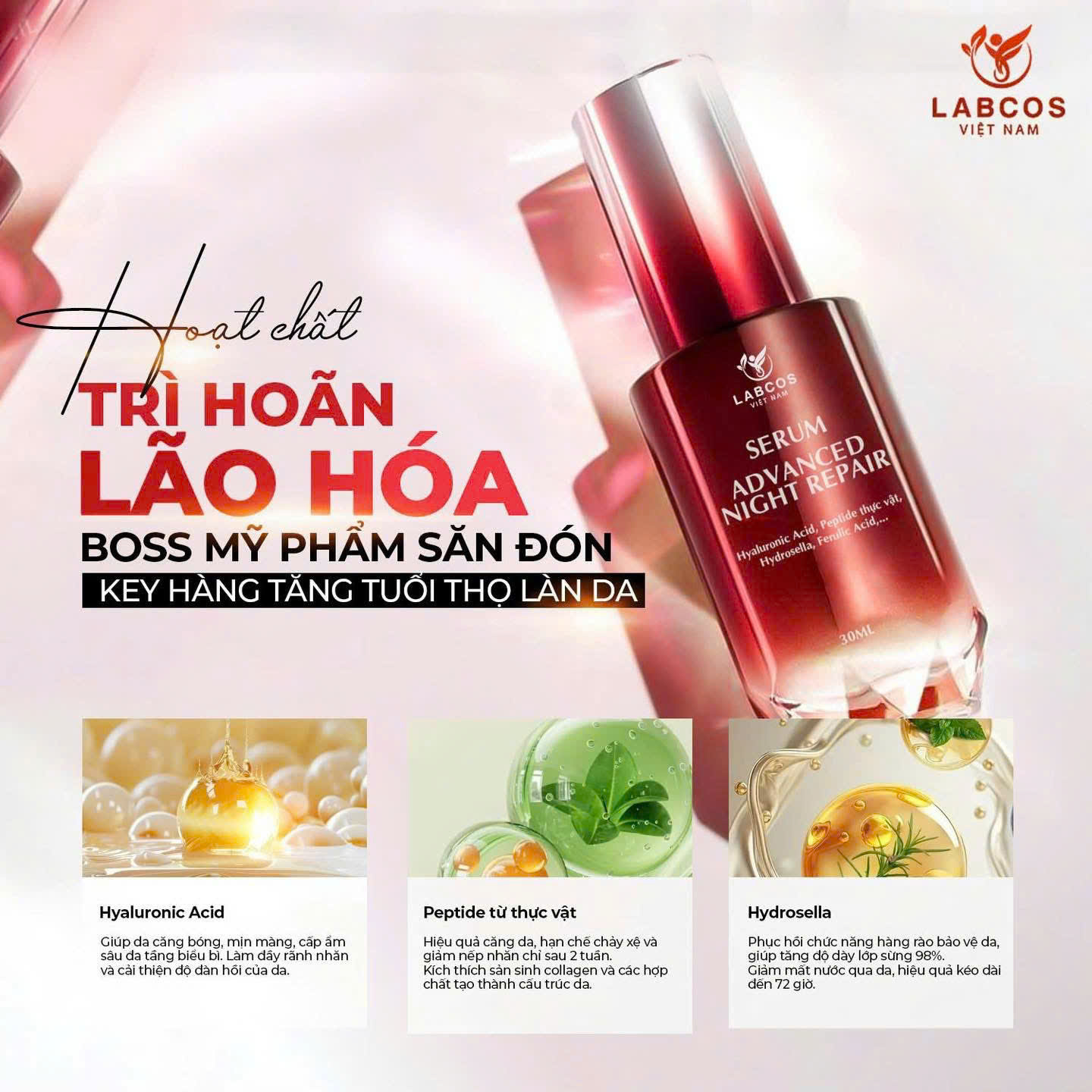 Serum Advanced Night Repair: Chìa Khóa Giúp Làn Da Tươi Trẻ Vượt Thời Gian