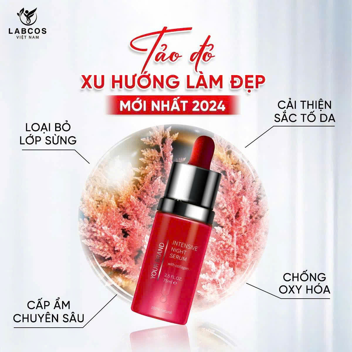 Serum Tảo Đỏ Intensive Night Serum - Bí quyết hồi sinh làn da